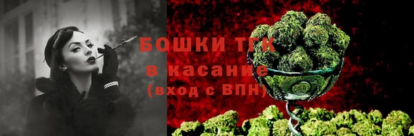 Альфа ПВП Няндома