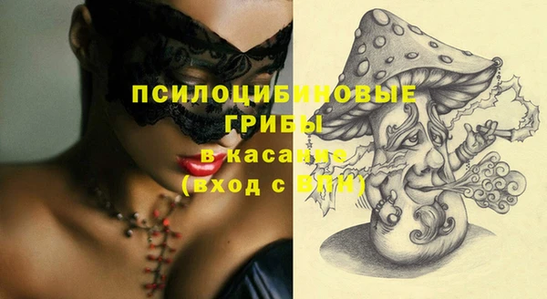 Альфа ПВП Няндома
