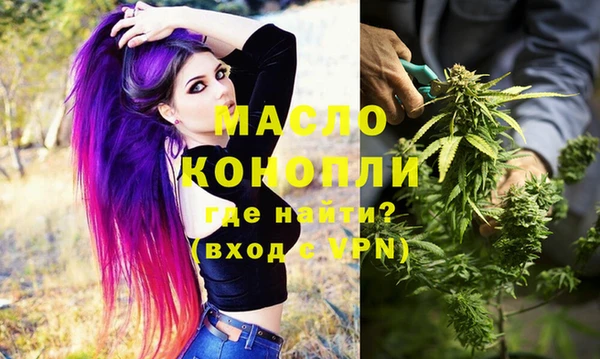 Альфа ПВП Няндома