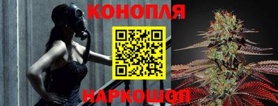 прущие грибы Жуковский