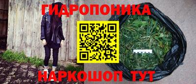 PSILOCYBIN Жуковский