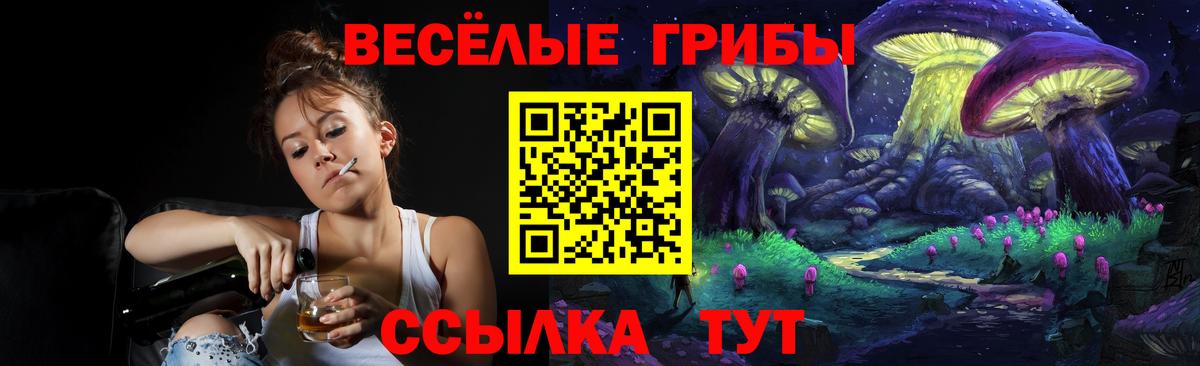 Галлюциногенные грибы Cubensis Калуга